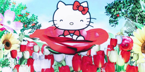 HELLO KITTY SHOW BOX（ハローキティショーボックス）『Happy Flowers』 淡路市