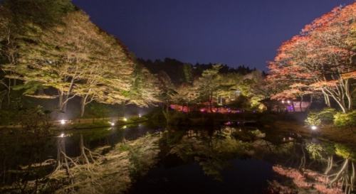 六甲高山植物園『夜の紅葉散策』神戸市灘区