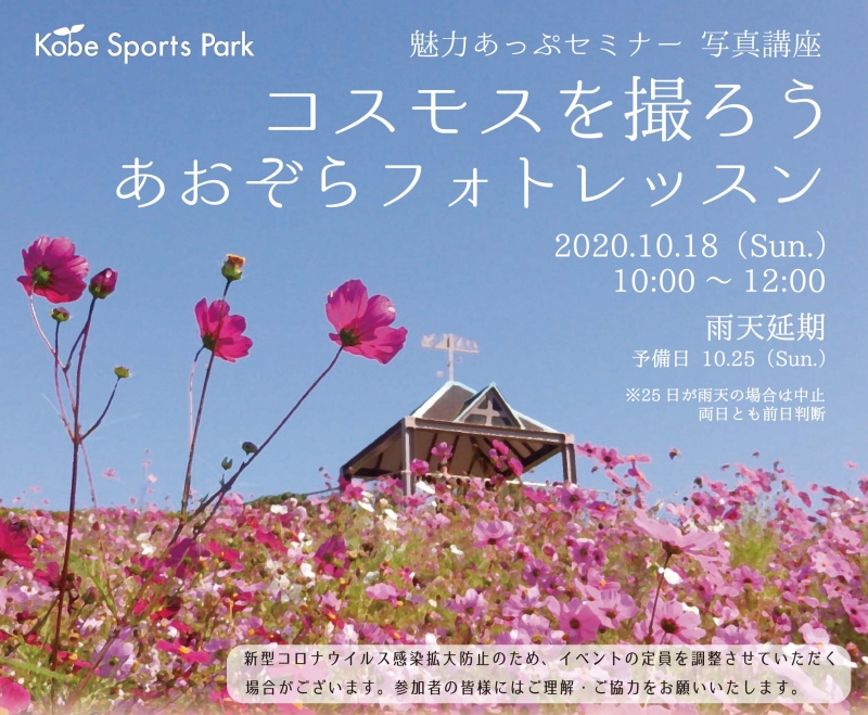 神戸総合運動公園「コスモスを撮ろう！あおぞらフォトレッスン」 [画像]