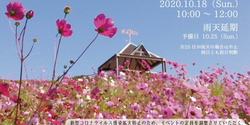 神戸総合運動公園「コスモスを撮ろう！あおぞらフォトレッスン」