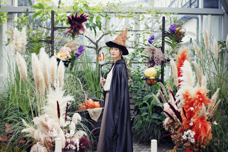 神戸布引ハーブ園／ロープウェイ『Herb Gardens Autumn 2020 -のんびり、ぶらり、秋散歩-』 [画像]