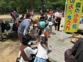再度公園『こうべ森の小学校・森のようちえん』神戸市北区 [画像]