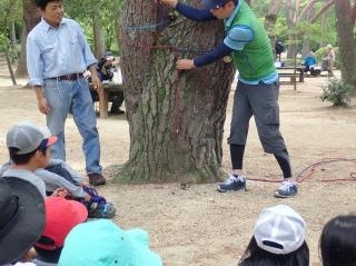 再度公園『こうべ森の小学校・森のようちえん』神戸市北区 [画像]