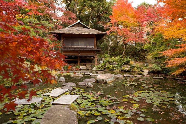 「日本庭園で愛でる紅葉と須磨の伝統芸能・歴史」　神戸市須磨区 [画像]