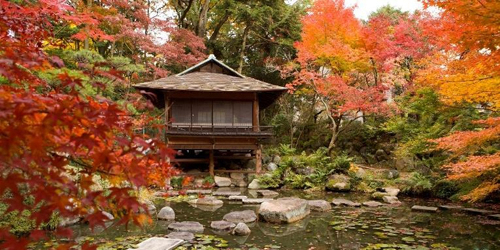 「日本庭園で愛でる紅葉と須磨の伝統芸能・歴史」　神戸市須磨区