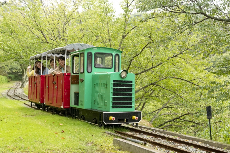 妙見の森シグナス森林鉄道