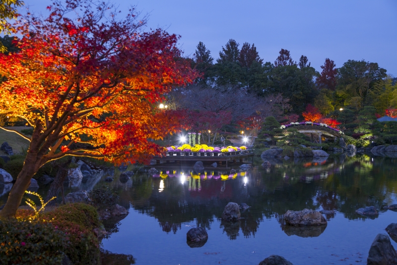 しあわせの村日本庭園『紅葉のライトアップ』神戸市北区 [画像]