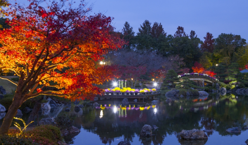 しあわせの村日本庭園『紅葉のライトアップ』神戸市北区