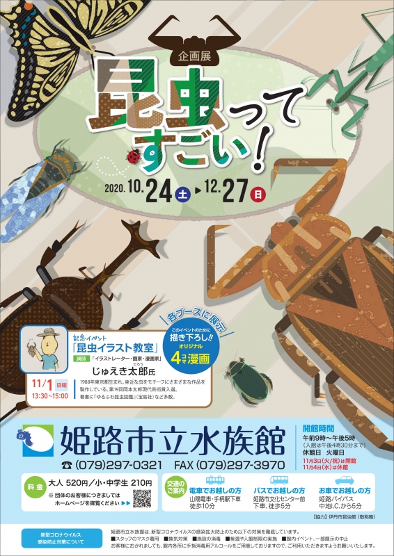 姫路市立水族館　企画展『昆虫ってすごい！』姫路市 [画像]