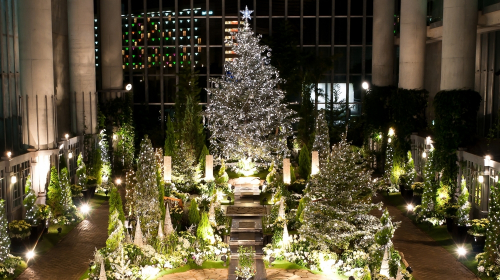 淡路夢舞台温室 奇跡の星の植物館『クリスマスフラワーショー2020』淡路市