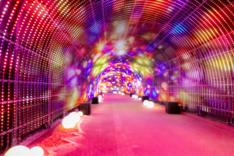 光のトンネル「Wonder Tunnel」