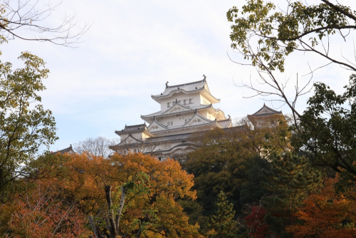 姫路城を含む5施設が無料開放『世界遺産登録記念日』