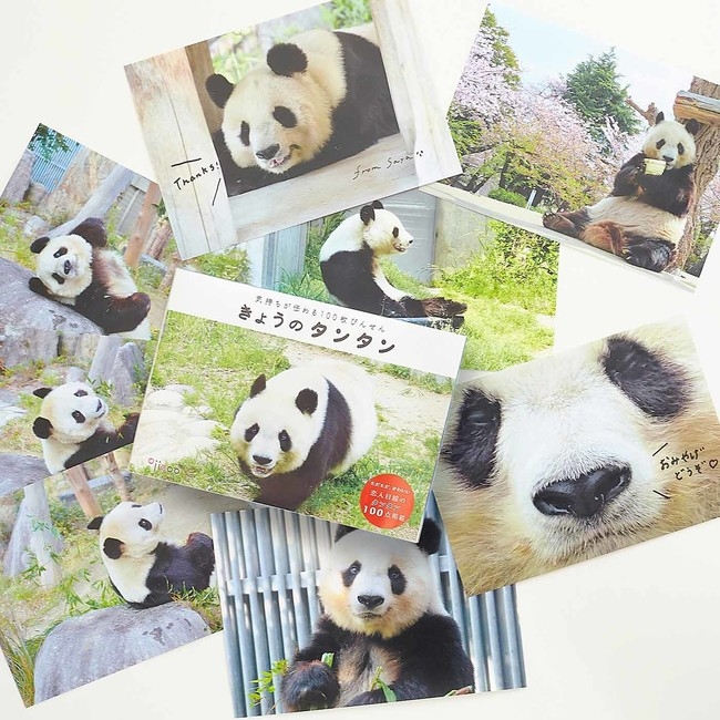 フェリシモ　神戸市立王子動物園のパンダ「タンタン」の便箋を販売 [画像]