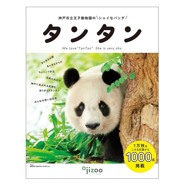 フェリシモ　神戸市立王子動物園のパンダ「タンタン」の便箋を販売 [画像]