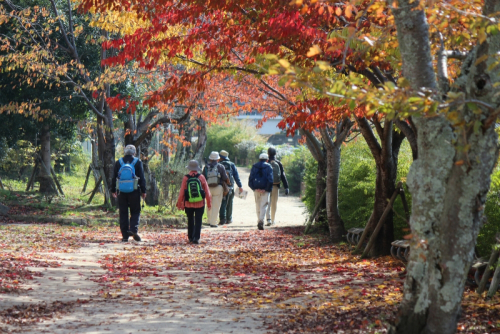 保護樹木や史跡を巡るハイキング「西宮山口アルキナーレ」　西宮市