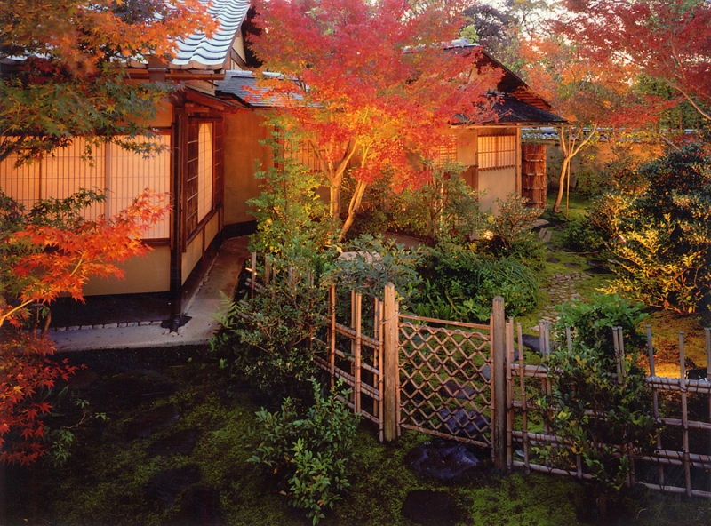 姫路城を借景とする日本庭園で紅葉のライトアップなど　姫路市 [画像]