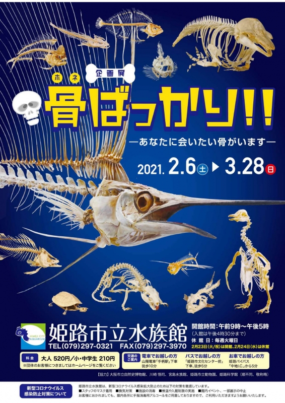 姫路市立水族館　企画展『骨ばっかり‼ あなたに会いたい骨がいます』姫路市 [画像]