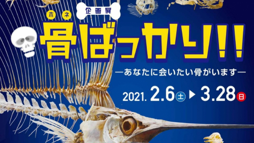 姫路市立水族館　企画展『骨ばっかり‼ あなたに会いたい骨がいます』姫路市