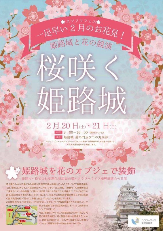 姫路城と花の競演『桜咲く姫路城』 [画像]