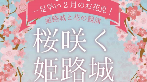 姫路城と花の競演『桜咲く姫路城』