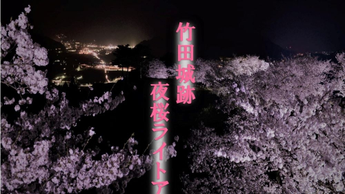 竹田城跡『夜桜ライトアップ』朝来市