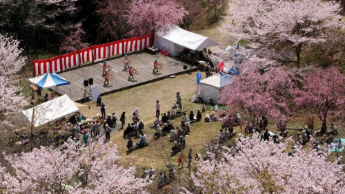 『かみかわ桜の山 桜華園』シーズンオープン　神崎郡神河町