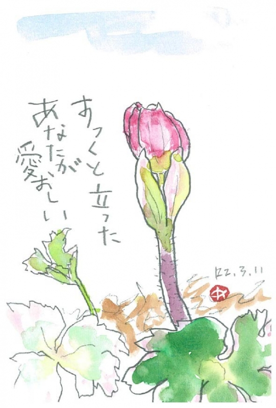六甲高山植物園『春の花スタンプラリー』神戸市灘区 [画像]