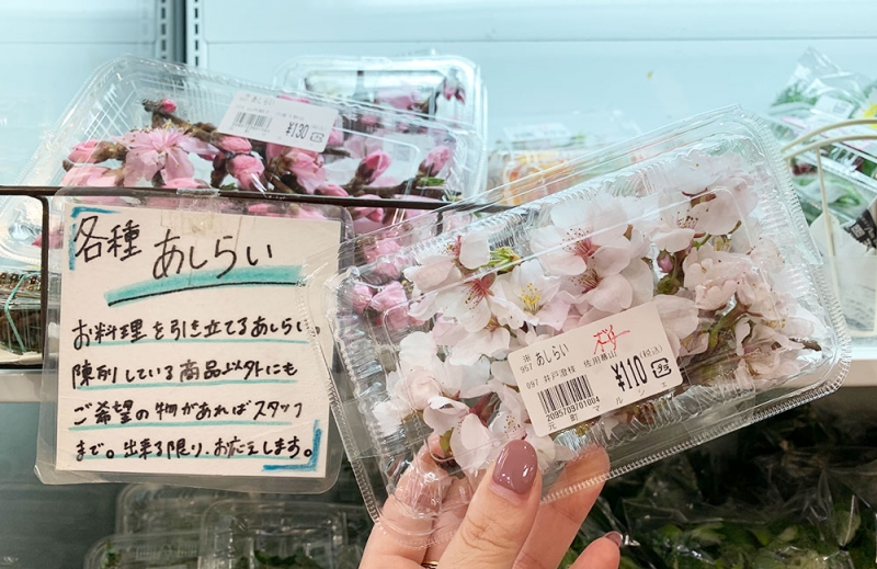 本髙砂屋で桜の和菓子をテイクアウトして「おうち花見」 [画像]