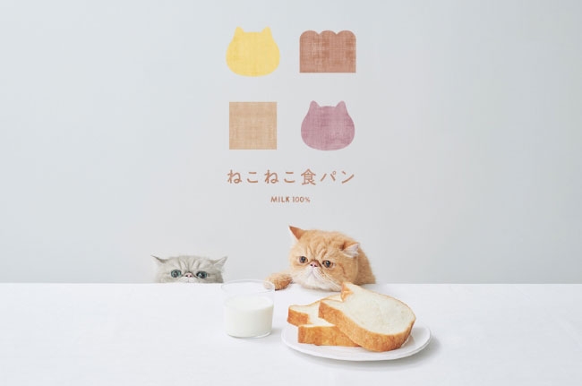 「ねこねこ食パン」神戸マルイに出店中　神戸市中央区 [画像]