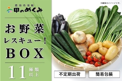 JAタウン　直売所で売れ残った野菜を詰め合わせ『野菜レスキューBOX』 [画像]