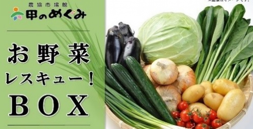 JAタウン　直売所で売れ残った野菜を詰め合わせ『野菜レスキューBOX』