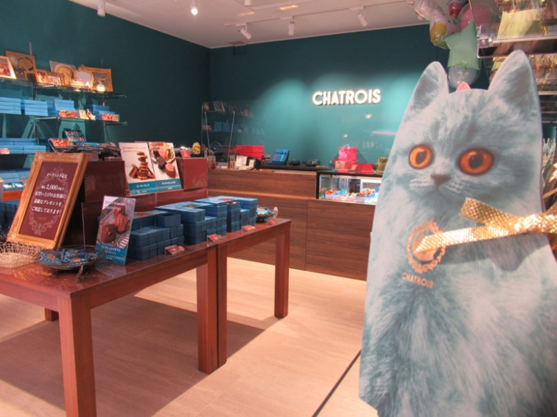 ネコのモチーフで人気「CHATROIS（シャトロワ）」がモザイクに移転オープン　神戸市中央区 [画像]