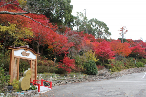 有馬温泉　太閤の湯で紅葉ライトアップイベント開催　敷地内の通り抜けも解禁　神戸市北区