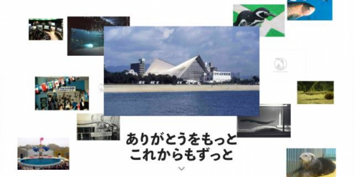 「須磨海浜水族園デジタルアーカイブ」特設サイト開設