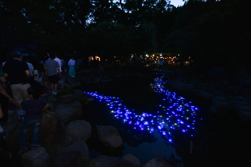 LEDライトを使った「天の川」が煌めきます ※7月7日・20日開催