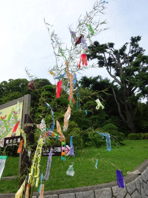 神戸市立須磨離宮公園「初夏のバラ観賞会」神戸市須磨区 [画像]