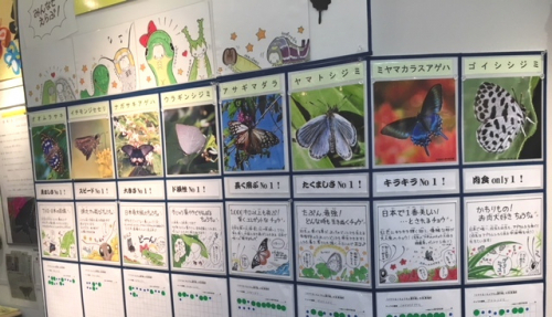 兵庫県立六甲山ビジターセンター『六甲山のチョウやイモムシとなかよくなろう』