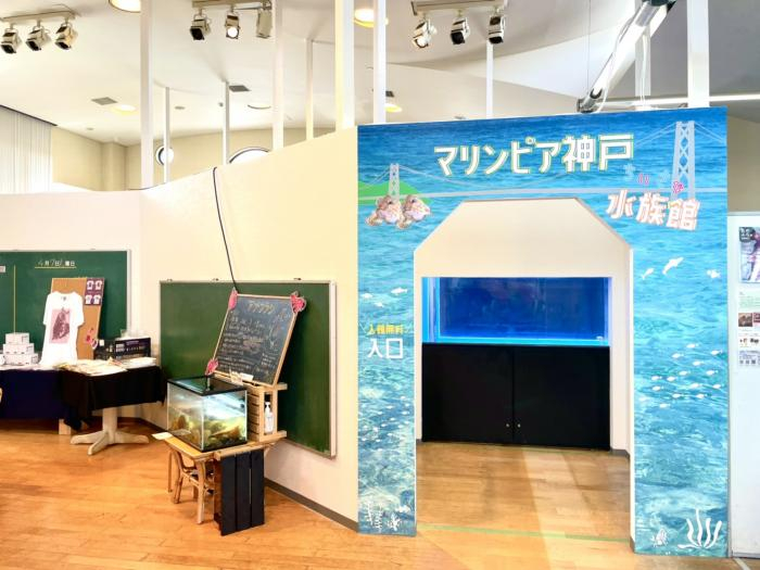 さかなの学校『マリンピア神戸 小さな水族館』オープン [画像]