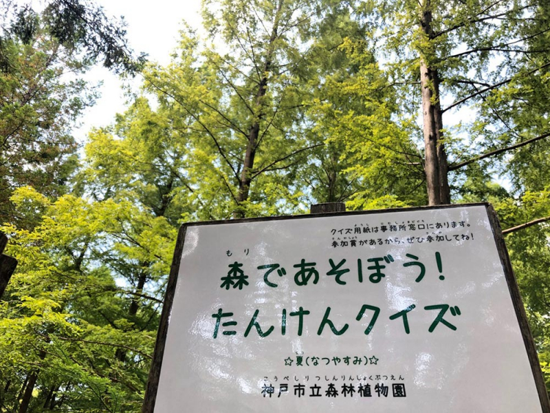 神戸市立森林植物園『森で遊ぼう！なつやすみ』 [画像]
