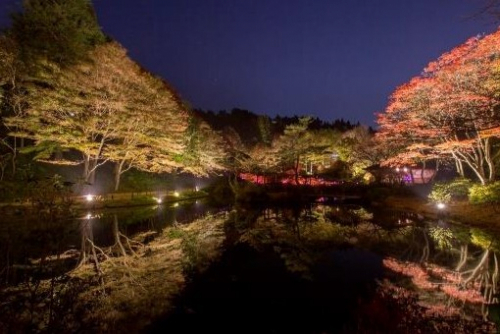 六甲高山植物園『夜の紅葉散策』『ザ・ナイトミュージアム』同時開催