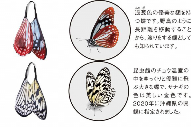 〈アサギマダラ〉と〈オオゴマダラ〉の2種類の蝶の翅（はね）のデザインです