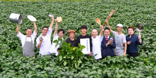 『三田黒枝豆食べようプロジェクト』レシピ公開＆特別料理提供