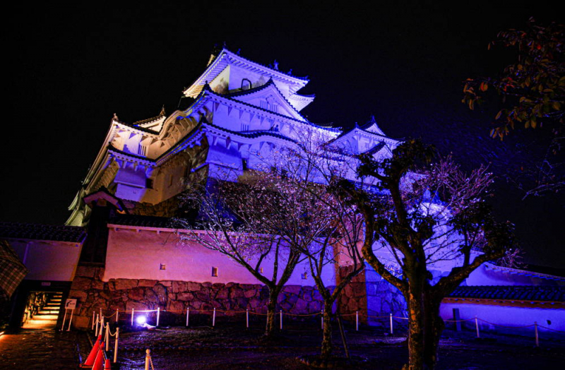 姫路城ナイトイベント『シロノヒカリ ～白鷺が輝く夜～』 [画像]