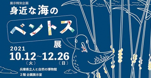兵庫県立人と自然の博物館『身近な海のベントス展』三田市