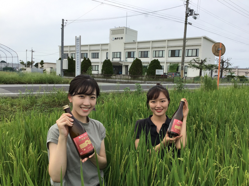 神戸大学×白鶴酒造・純米酒「神のまにまに」販売 [画像]