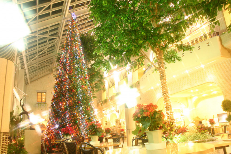 淡路ハイウェイオアシスに9mの巨大クリスマスツリーが登場 [画像]