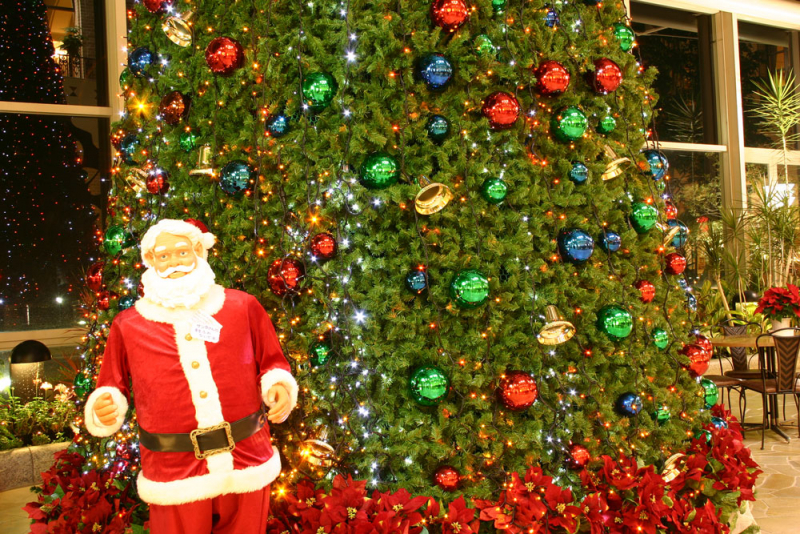 淡路ハイウェイオアシスに9mの巨大クリスマスツリーが登場 [画像]