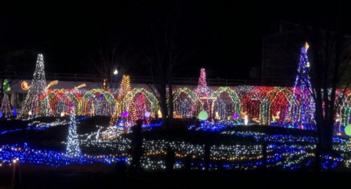 兵庫県立フラワーセンター『花と光のクリスマス』加西市