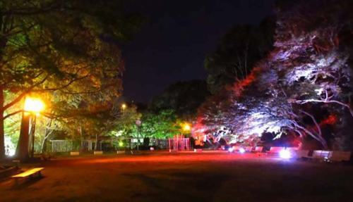 神戸市立須磨離宮公園　土日祝限定「もみじのライトアップ」