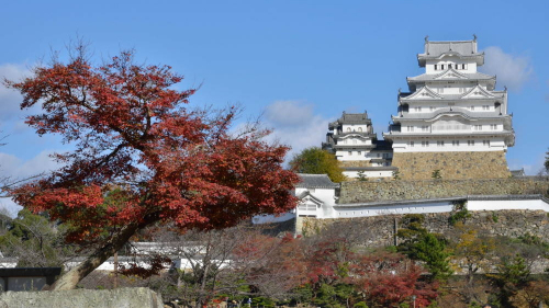 姫路城を含む5施設が無料開放『世界遺産登録記念日』